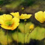 2012 Fall Newsletter