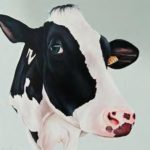 2016 Summer Newsletter