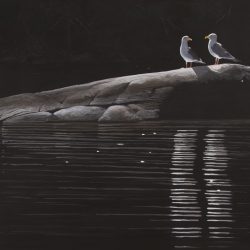Two-gulls-150