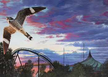 Les animaux en ville