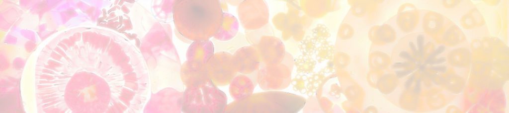 Read more about the article SCA 57th Juried Exhibition