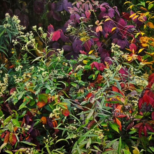 Rep_Bermingham_Wendy_Temptess_36 x 36 x 1.5_ID198