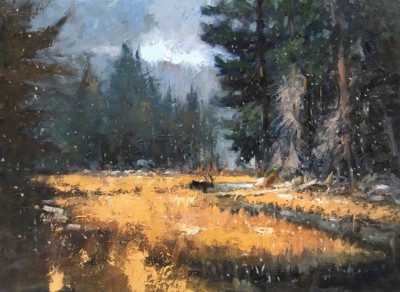 Peter Cheung SCA, ON, 