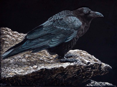 Margaret Pardy SCA, ON, The Raven, Watercolor  Ink, 9x12