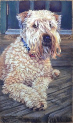Heather Laws, Dusty at the Calgary Home, Pastel, 18x8.5