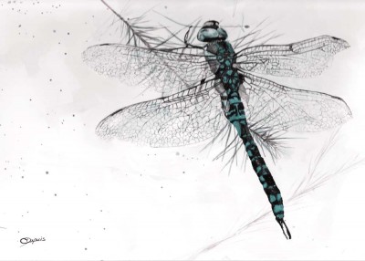 Chantal Dupuis, Ottawa, Canada