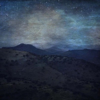 Donna Dangott, College Station, United States