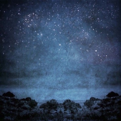 Donna Dangott, College Station, United States