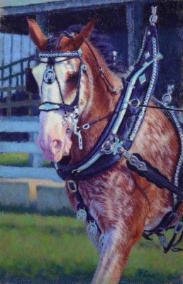 Heather Laws, Beaverton, Canada