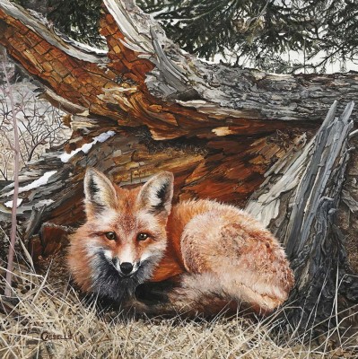 Laara Cassells, Sundre, Canada