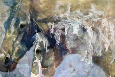 Shernya Vininsky, Vaudreuil-Dorion, Canada