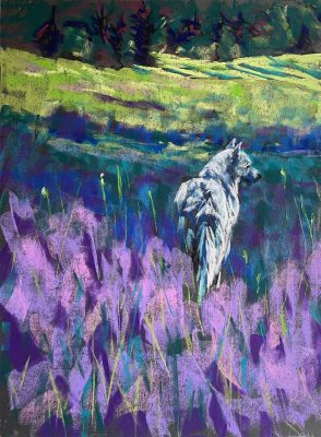 Lynne Bedbrook
