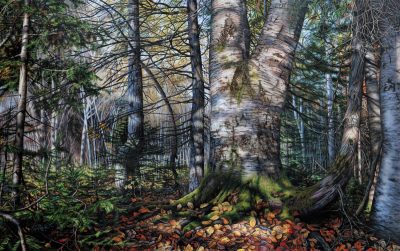Chantal Bourque