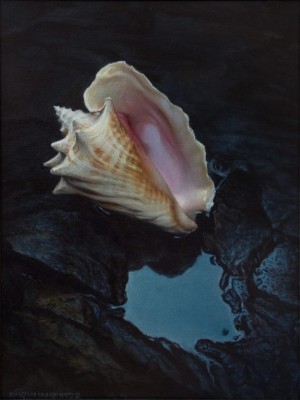 Martin Murphy SCA, " Night Conch" Oil, 20" x 16"