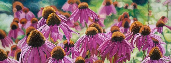 melissa_cowan2@hotmail.com