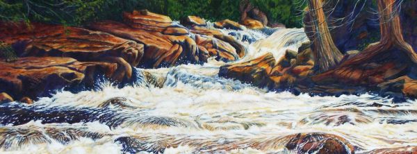 susan.fraser.artist@gmail.com