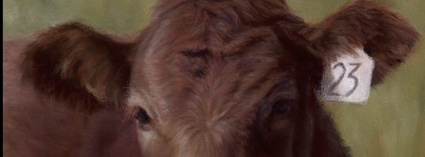 BrendaMatsen.FineArt@gmail.com