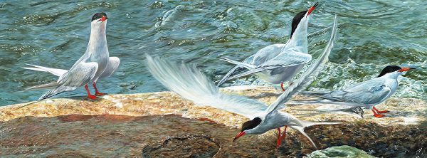 jocelyneillustrations@videotron.ca